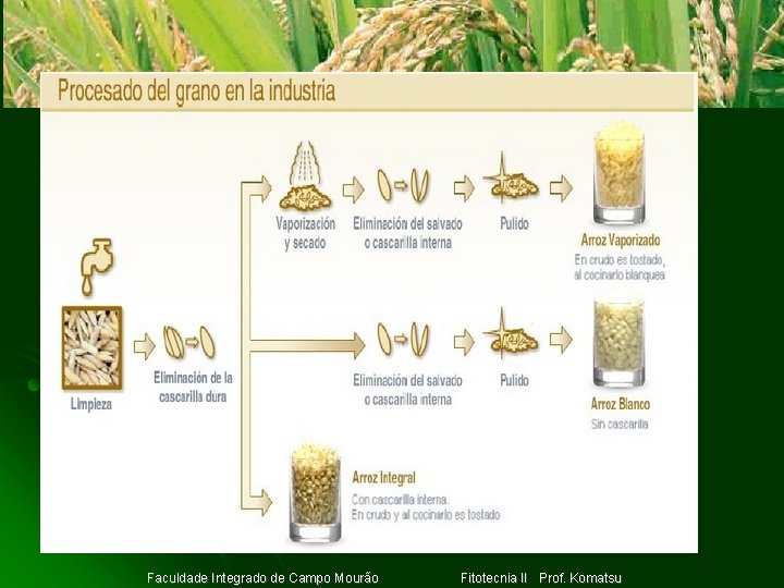 Clique para adicionar texto Faculdade Integrado de Campo Mourão Fitotecnia II Prof. Komatsu 