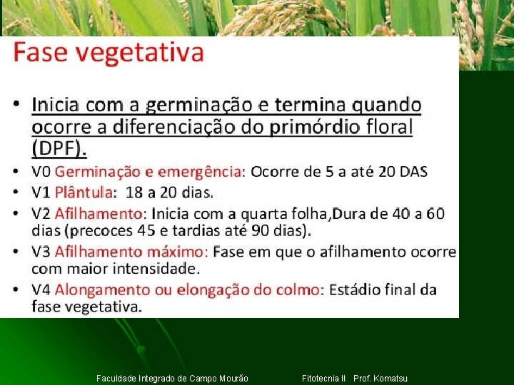 Clique para adicionar texto Faculdade Integrado de Campo Mourão Fitotecnia II Prof. Komatsu 