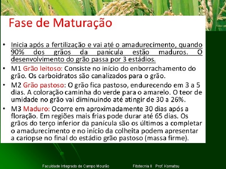 Clique para adicionar texto Faculdade Integrado de Campo Mourão Fitotecnia II Prof. Komatsu 