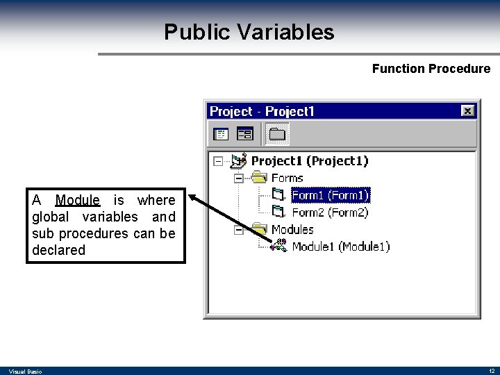 Public Variables Function Procedure A Module is where global variables and sub procedures can