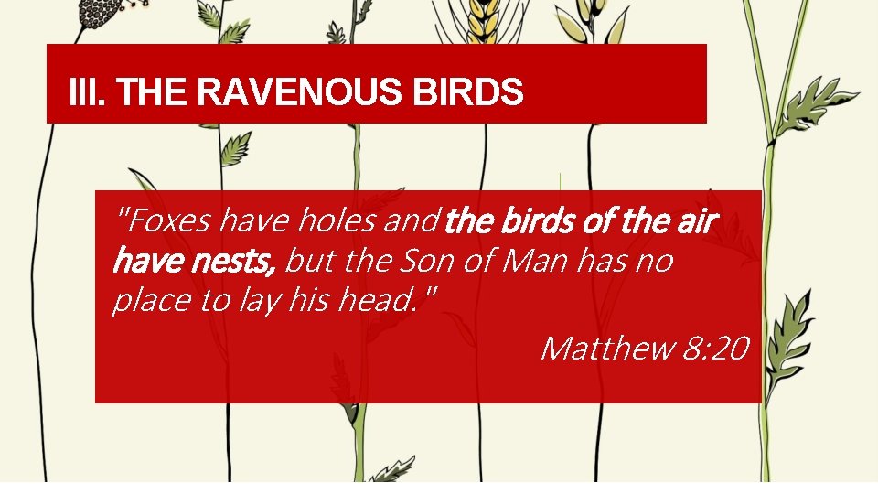 III. THE RAVENOUS BIRDS "Foxes have holes and the birds of the air have