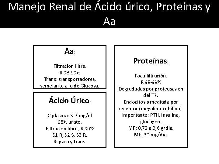 Manejo Renal de Ácido úrico, Proteínas y Aa Aa: Filtración libre. R 98 -99%