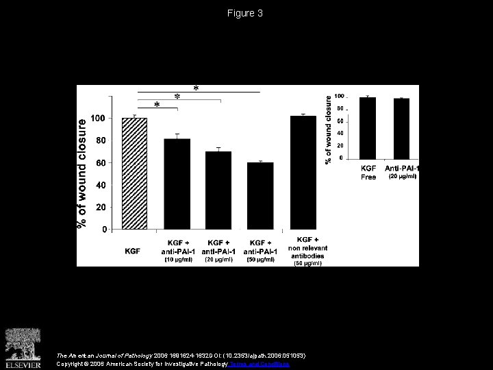 Figure 3 The American Journal of Pathology 2006 1691624 -1632 DOI: (10. 2353/ajpath. 2006.