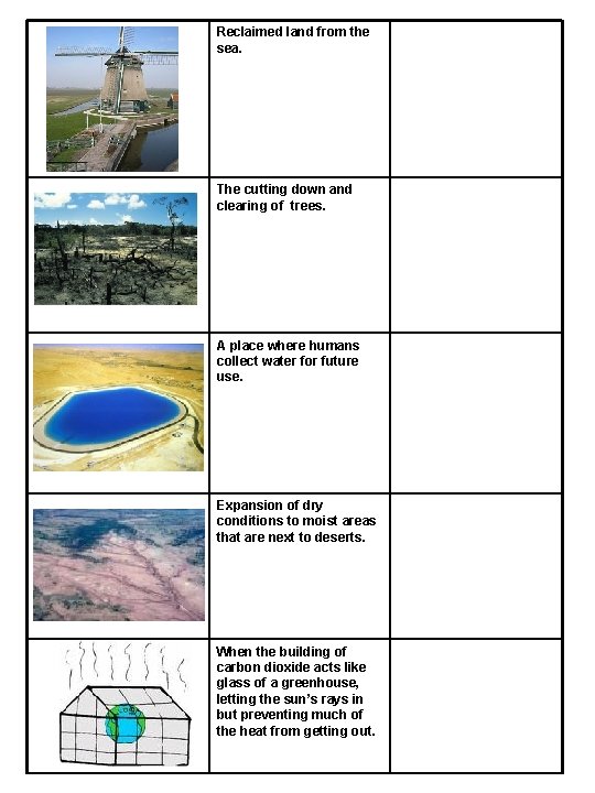Reclaimed land from the sea. The cutting down and clearing of trees. A place