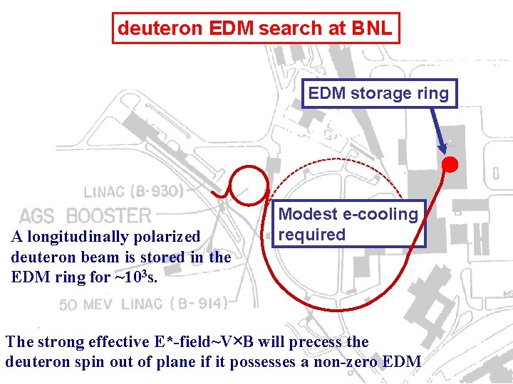 deuteron EDM search at BNL EDM storage ring A longitudinally polarized deuteron beam is