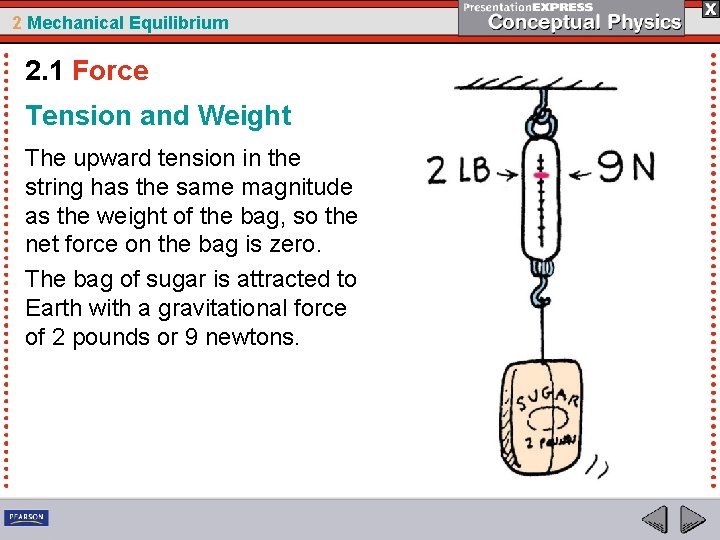 2 Mechanical Equilibrium 2. 1 Force Tension and Weight The upward tension in the