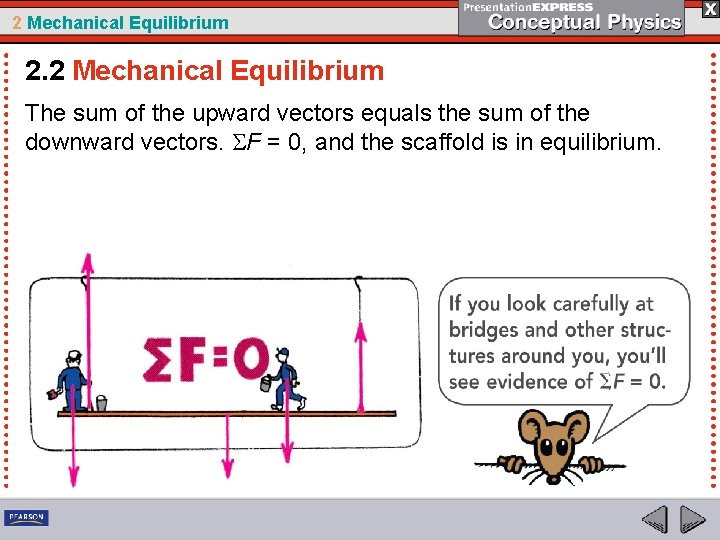 2 Mechanical Equilibrium 2. 2 Mechanical Equilibrium The sum of the upward vectors equals