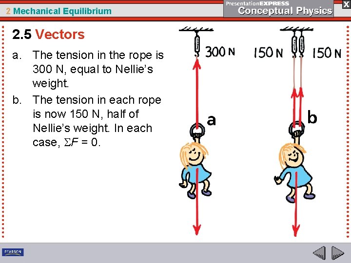 2 Mechanical Equilibrium 2. 5 Vectors a. The tension in the rope is 300