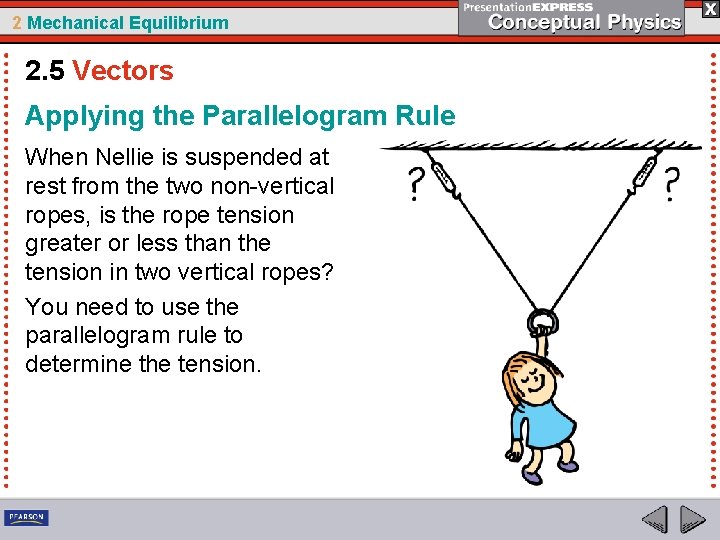 2 Mechanical Equilibrium 2. 5 Vectors Applying the Parallelogram Rule When Nellie is suspended