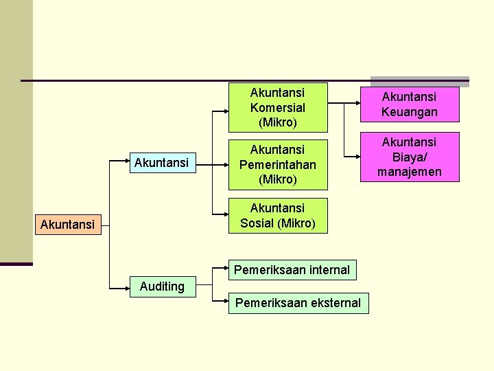 Akuntansi Komersial (Mikro) Akuntansi Pemerintahan (Mikro) Akuntansi Sosial (Mikro) Akuntansi Pemeriksaan internal Auditing Pemeriksaan