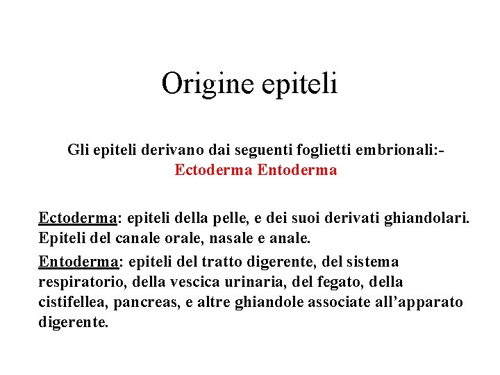 Origine epiteli Gli epiteli derivano dai seguenti foglietti embrionali: Ectoderma Entoderma Ectoderma: epiteli della