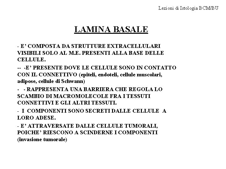 Lezioni di Istologia BCM/BU LAMINA BASALE - E’ COMPOSTA DA STRUTTURE EXTRACELLULARI VISIBILI SOLO