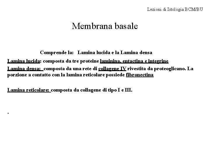 Lezioni di Istologia BCM/BU Membrana basale Comprende la: Lamina lucida e la Lamina densa