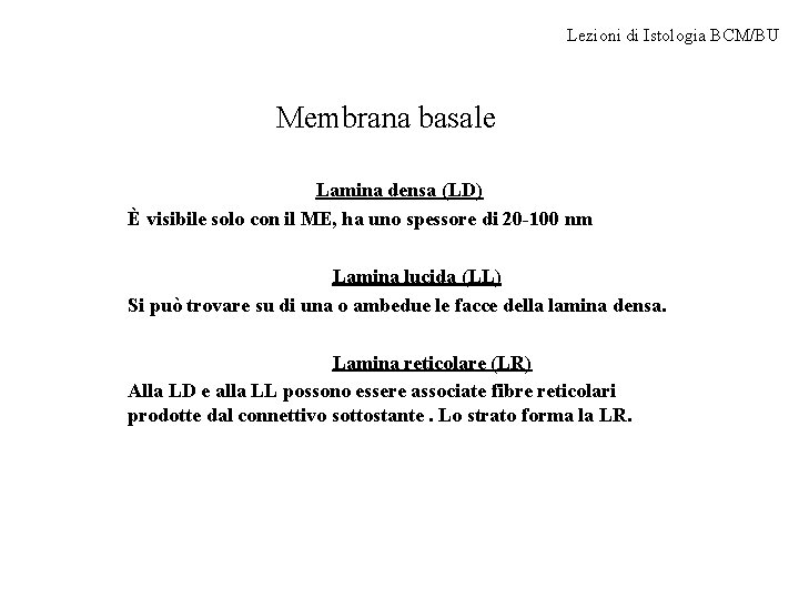 Lezioni di Istologia BCM/BU Membrana basale Lamina densa (LD) È visibile solo con il