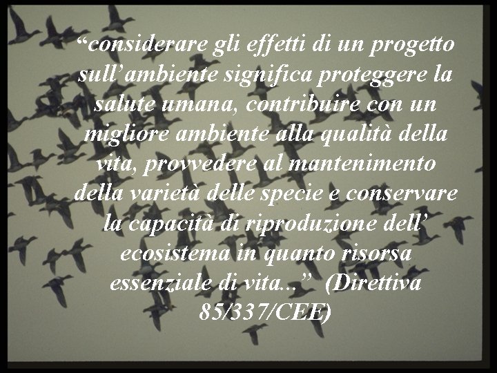 “considerare gli effetti di un progetto sull’ambiente significa proteggere la salute umana, contribuire con