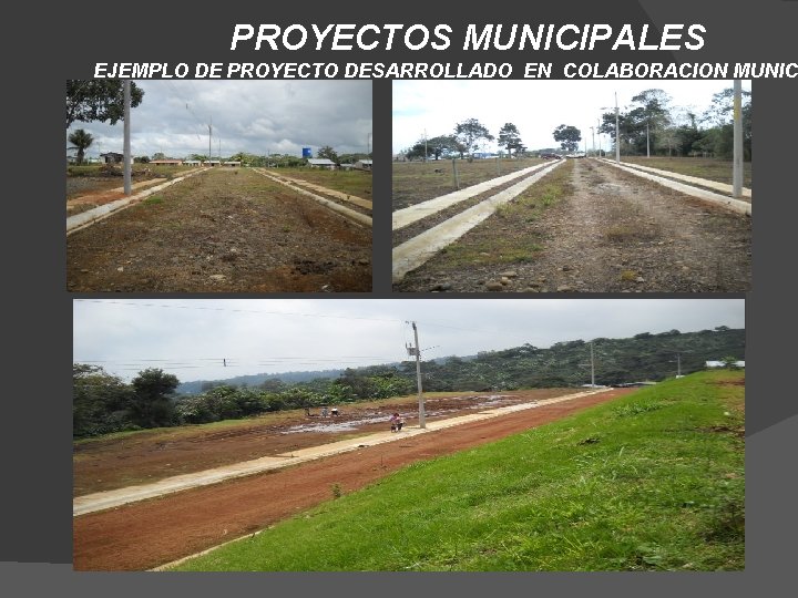 PROYECTOS MUNICIPALES EJEMPLO DE PROYECTO DESARROLLADO EN COLABORACION MUNIC 