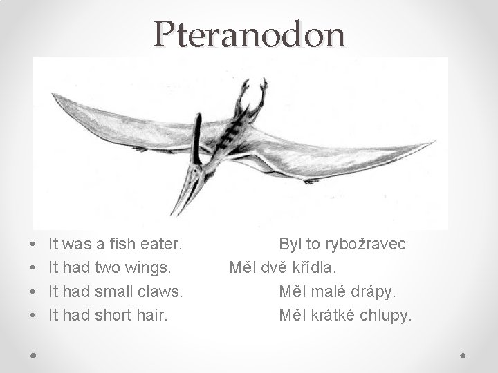 Pteranodon • • It was a fish eater. It had two wings. It had
