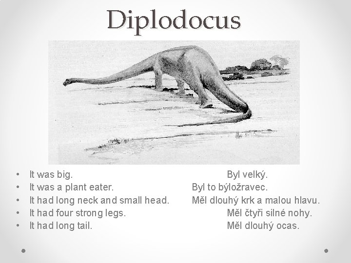 Diplodocus • • • It was big. It was a plant eater. It had