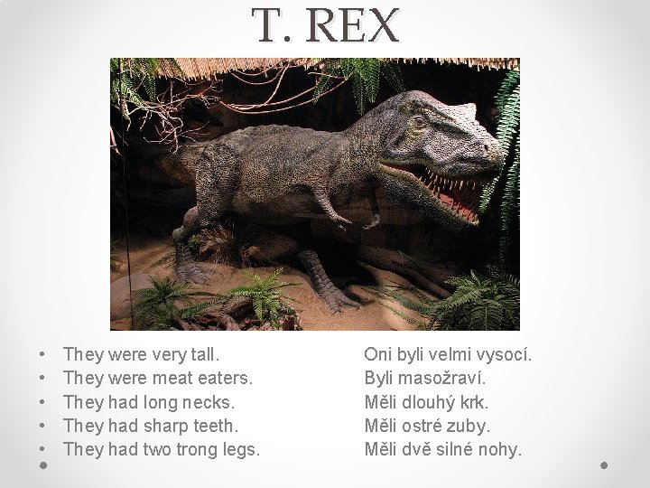 T. REX • • • They were very tall. They were meat eaters. They