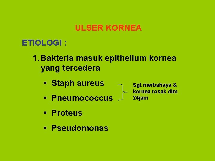 ULSER KORNEA ETIOLOGI : 1. Bakteria masuk epithelium kornea yang tercedera § Staph aureus