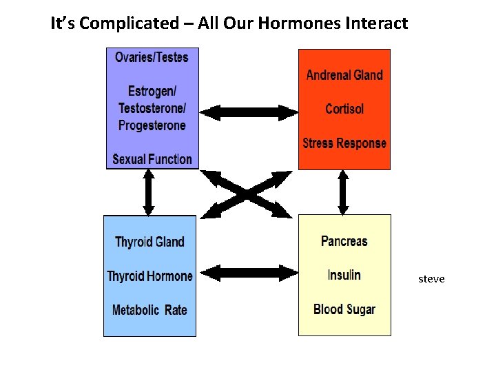 It’s Complicated – All Our Hormones Interact steve 