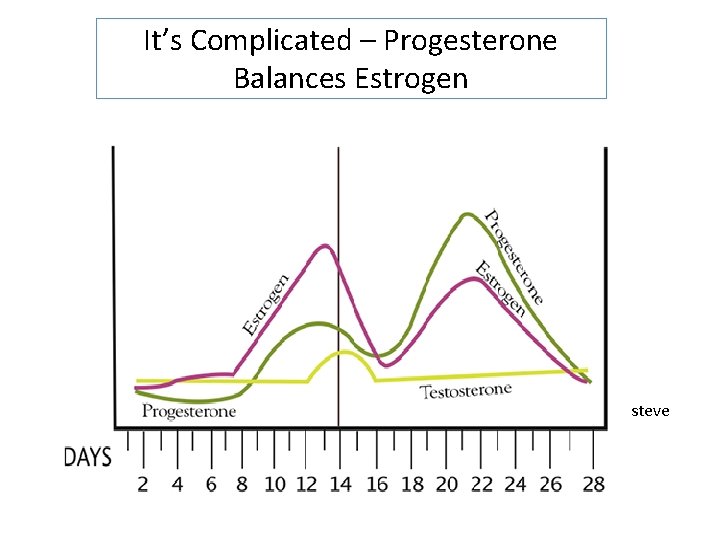 It’s Complicated – Progesterone Balances Estrogen steve 