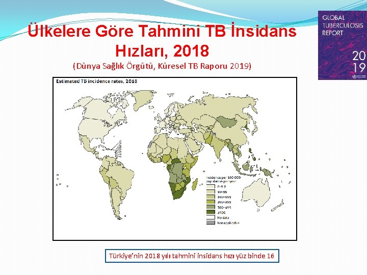Ülkelere Göre Tahmini TB İnsidans Hızları, 2018 (Dünya Sağlık Örgütü, Küresel TB Raporu 2019)