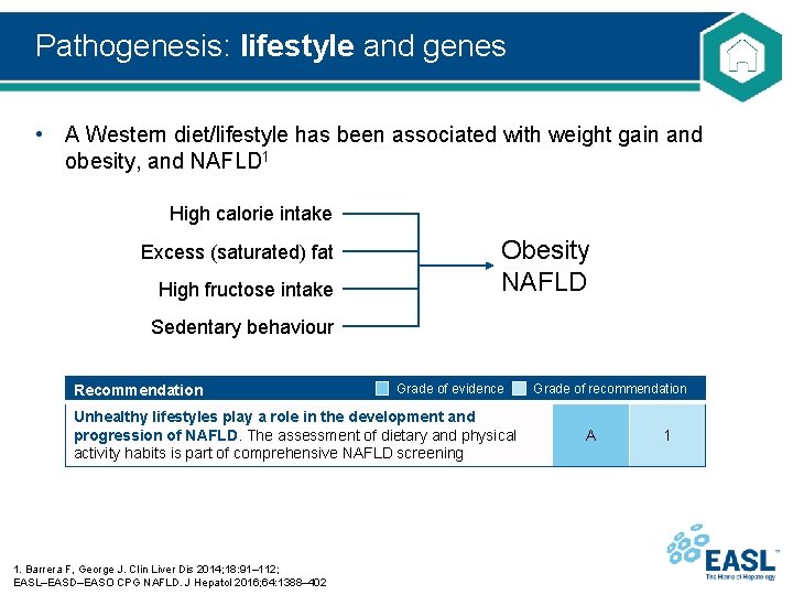 Pathogenesis: lifestyle and genes • A Western diet/lifestyle has been associated with weight gain