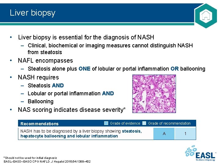 Liver biopsy • Liver biopsy is essential for the diagnosis of NASH – Clinical,