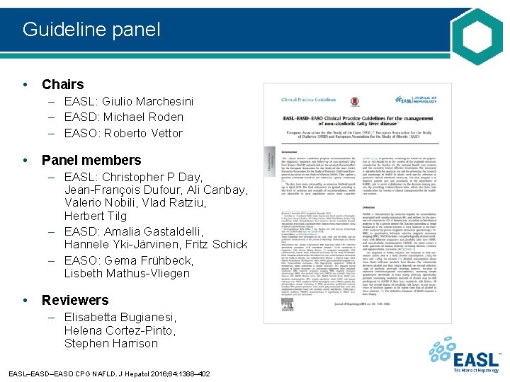 Guideline panel • Chairs – EASL: Giulio Marchesini – EASD: Michael Roden – EASO: