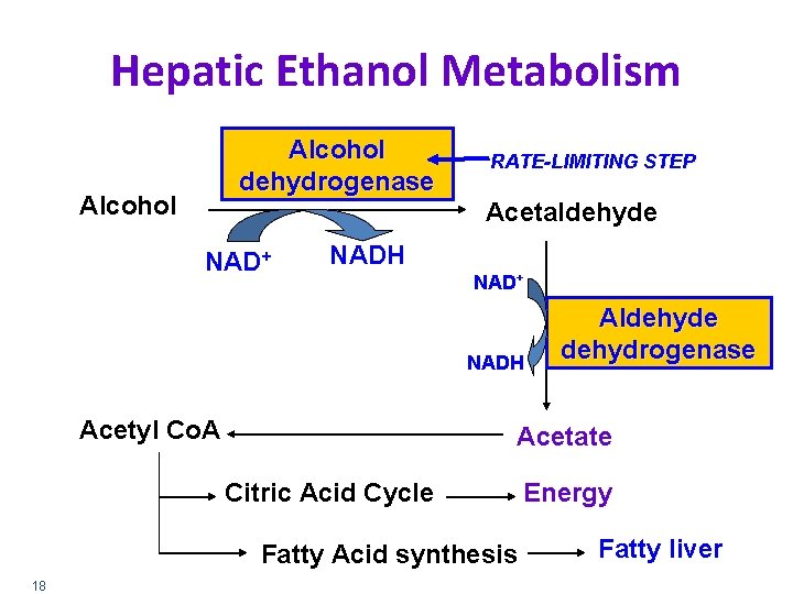 Hepatic Ethanol Metabolism Alcohol dehydrogenase Alcohol RATE-LIMITING STEP Acetaldehyde NAD+ NADH Acetyl Co. A