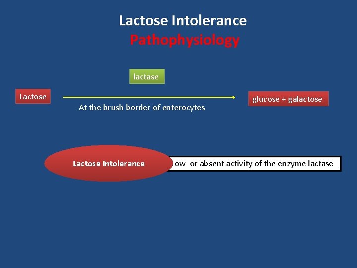 Lactose Intolerance Pathophysiology lactase Lactose At the brush border of enterocytes Lactose Intolerance glucose