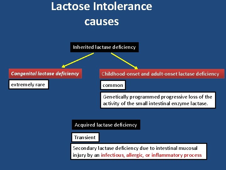 Lactose Intolerance causes Inherited lactase deficiency Congenital lactase deficiency Childhood-onset and adult-onset lactase deficiency