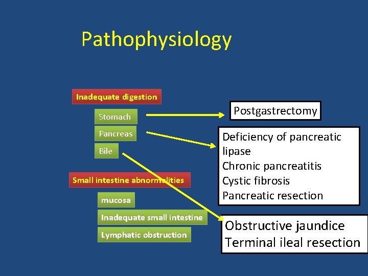 Pathophysiology Inadequate digestion Stomach Pancreas Bile Small intestine abnormalities mucosa Inadequate small intestine Lymphatic