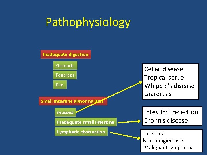 Pathophysiology Inadequate digestion Stomach Pancreas Bile Small intestine abnormalities mucosa Inadequate small intestine Lymphatic