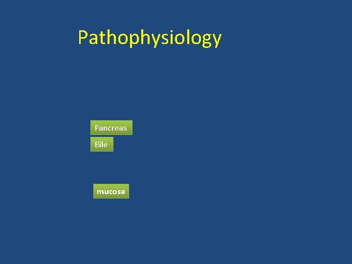 Pathophysiology Pancreas Bile mucosa 