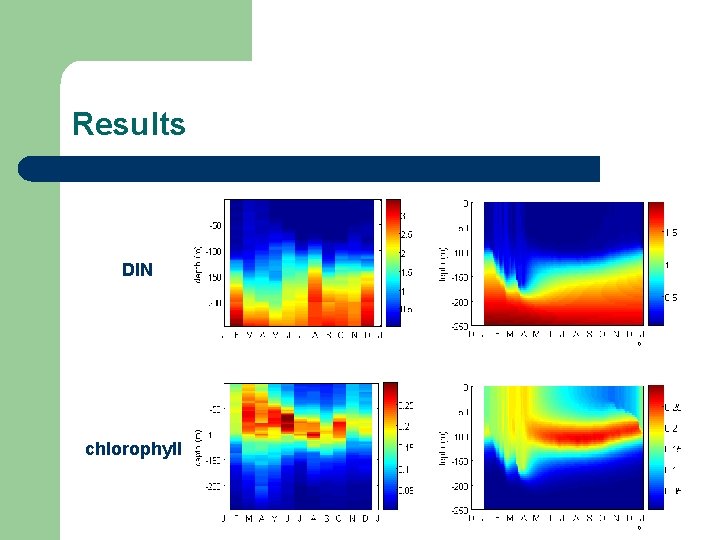 Results DIN chlorophyll 