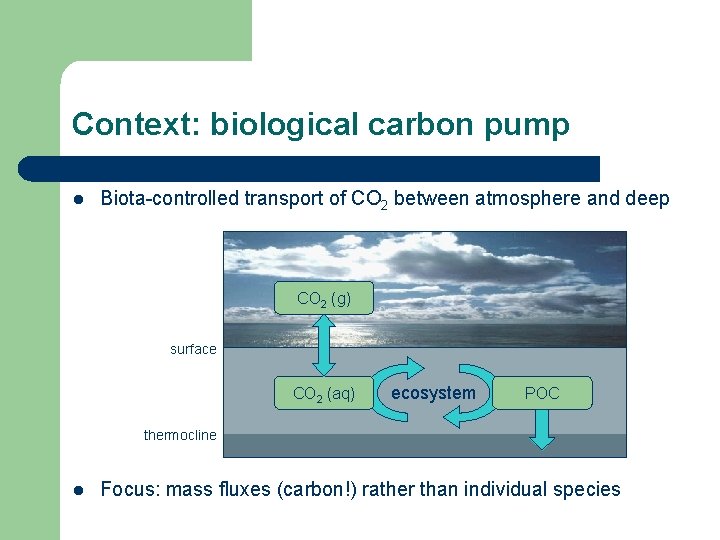 Context: biological carbon pump l Biota-controlled transport of CO 2 between atmosphere and deep