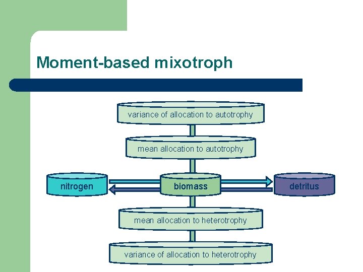 Moment-based mixotroph variance of allocation to autotrophy mean allocation to autotrophy nitrogen biomass mean