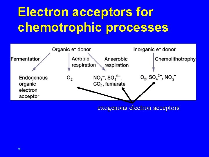 Electron acceptors for chemotrophic processes exogenous electron acceptors 12 