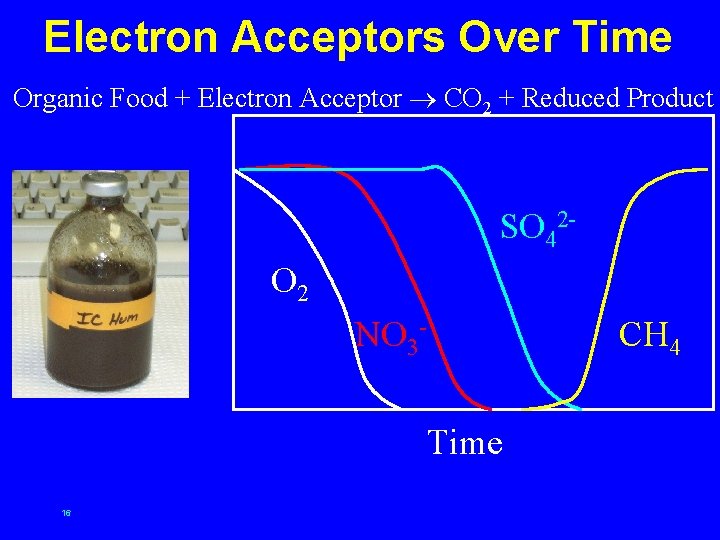 Electron Acceptors Over Time Organic Food + Electron Acceptor CO 2 + Reduced Product