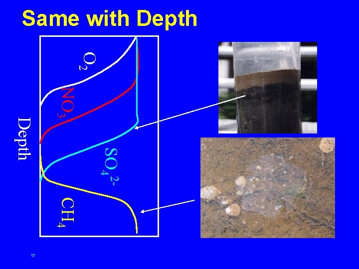Same with Depth O 2 NO 3 - SO 42 - Depth CH 4