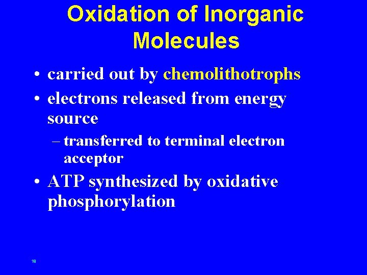 Oxidation of Inorganic Molecules • carried out by chemolithotrophs • electrons released from energy