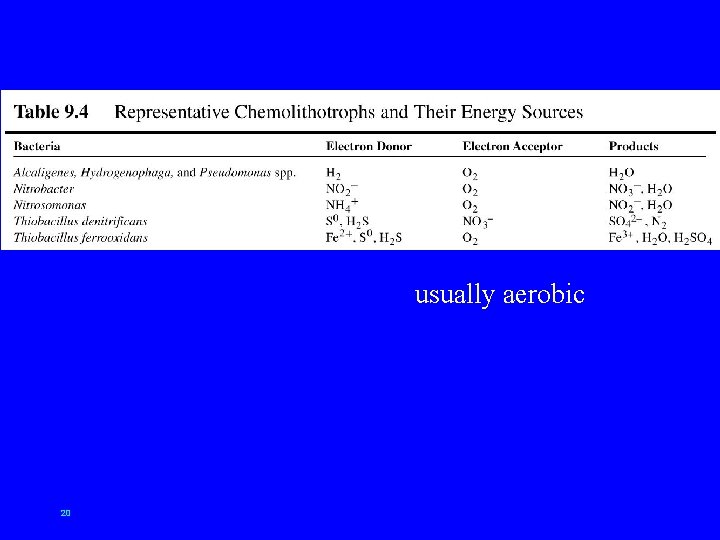 usually aerobic 20 
