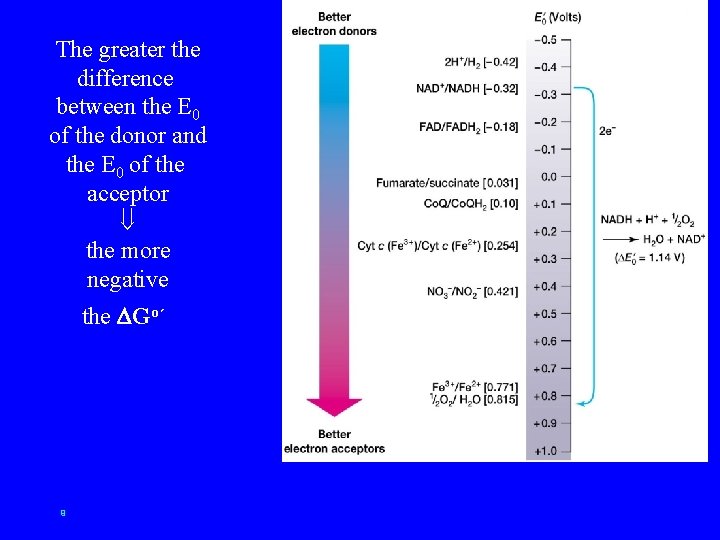 The greater the difference between the E 0 of the donor and the E