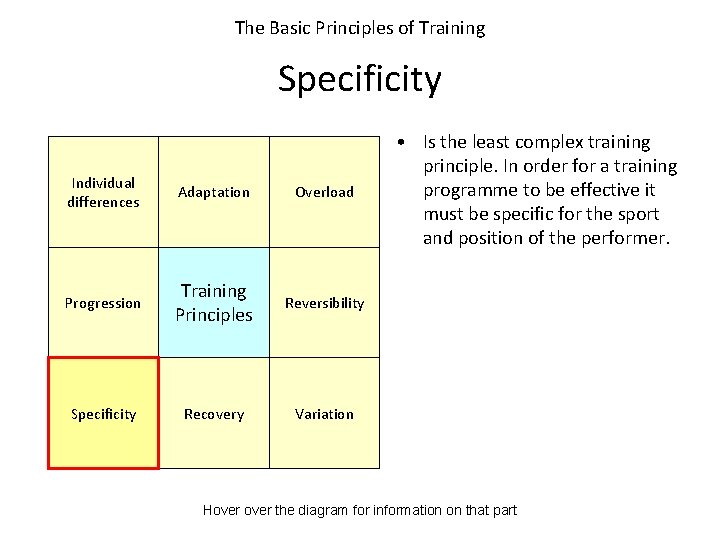 The Basic Principles of Training Specificity Individual differences Adaptation Overload Progression Training Principles Reversibility