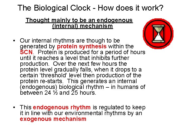 The Biological Clock - How does it work? Thought mainly to be an endogenous
