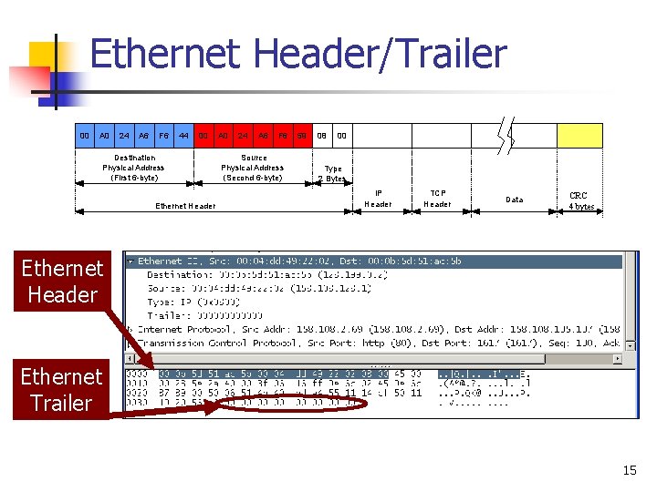 Ethernet Header/Trailer 00 A 0 24 A 6 F 6 44 00 Destination Physical