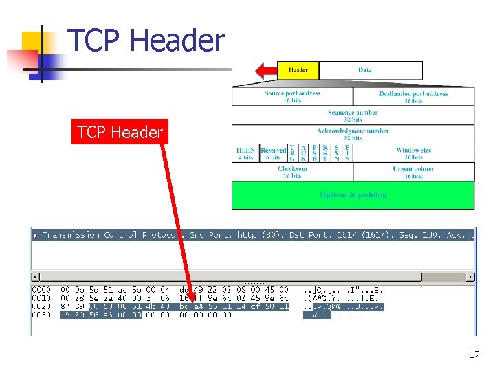 TCP Header 17 