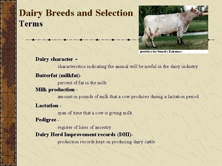 Dairy Breeds and Selection Terms Dairy character - characteristics indicating the animal will be